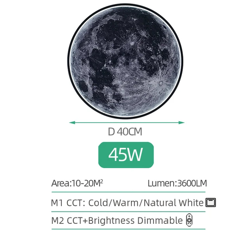 Earthrise Lunar